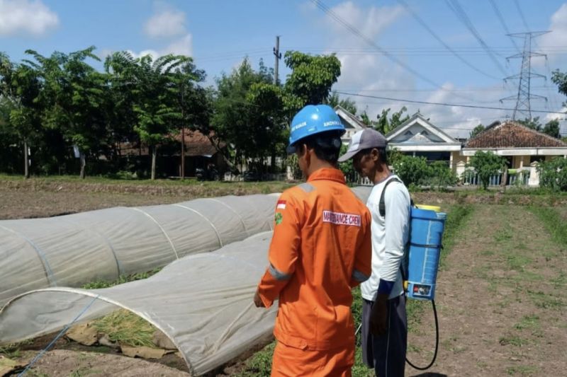 PLN edukasi petani jaringan transmisi terkait keselamatan kelistrikan 