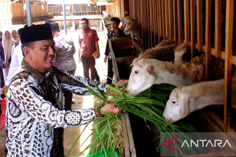 BAZNAS luncurkan balai ternak dan rumah kompos bagi mustahik di Jember