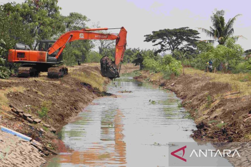 Normalisasi irigasi selamatkan 360 hektare sawah kritis di Bekasi