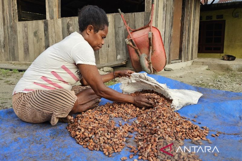 Pemprov gencar ekspor produk unggulan di Papua 