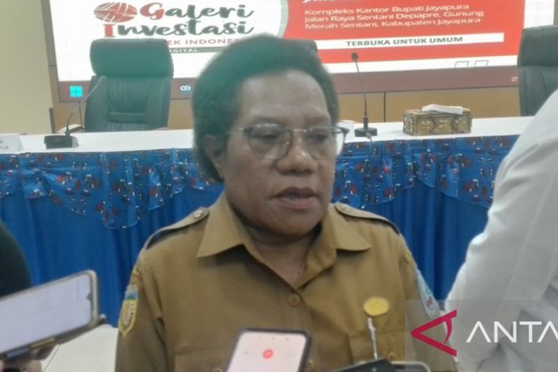 Pemkab Jayapura harap Kemenhub fungsikan pelabuhan peti kemas Depapre