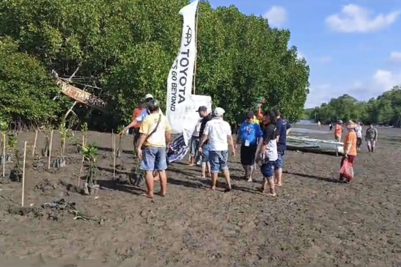 Klub mobil TeRuCI rayakan hari jadi ke-17  tanam 1.000 mangrove