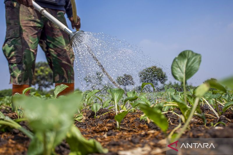 benarkah-air-ac-bisa-untuk-menyiram-tanaman