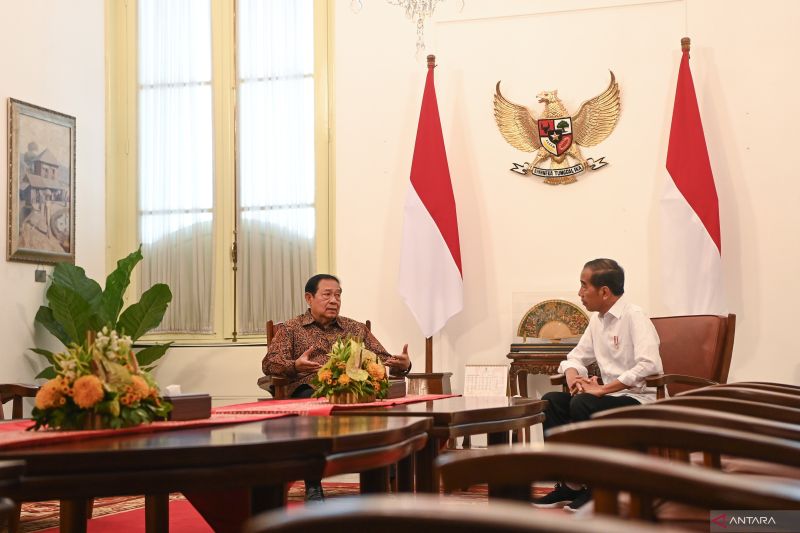 hak-hak-prerogatif-presiden-dalam-sistem-pemerintahan-indonesia