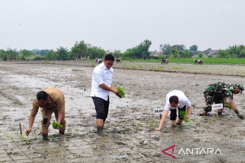 wamen-pertanian-serap-aspirasi-petani-di-klaten