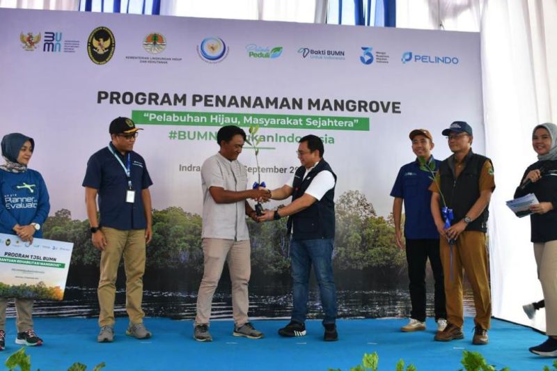 pelindo-gelar-program-rehabilitasi-mangrove-2024-lestarikan-lingkungan