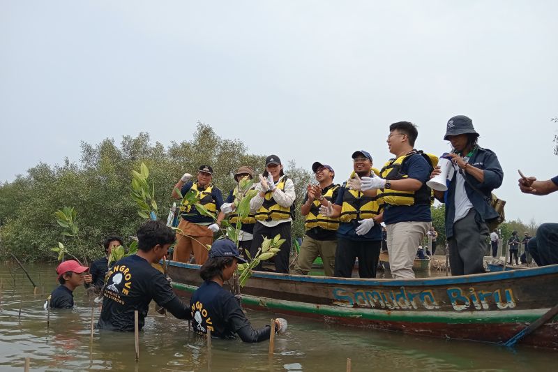 FishLog menanam 5.000 mangrove di Muara Gembong lewat Catalytic Fund