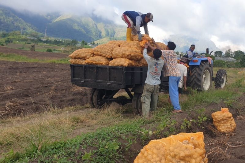 Realisasi tanam 2024 Program Makmur lebihi target