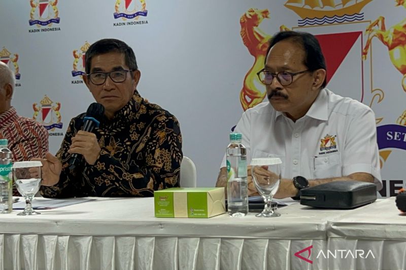 Dewan Pengurus Kadin ajukan gugatan pembatalan hasil Munaslub