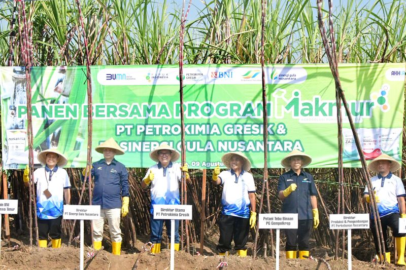 program-makmur-petrokimia-gresik-libatkan-166000-petani