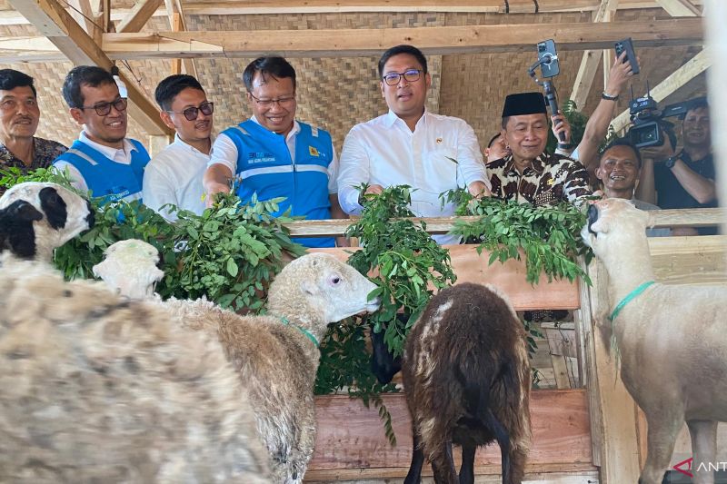 PLN berdayakan warga Tasikmalaya produksi biomassa untuk cofiring PLTU