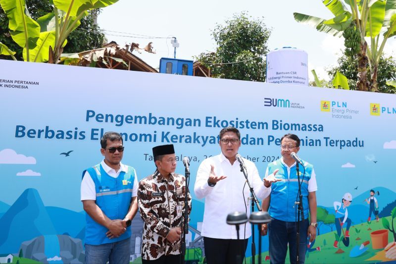 PLN manfaatkan lahan kritis untuk ekosistem biomassa pertanian terpadu