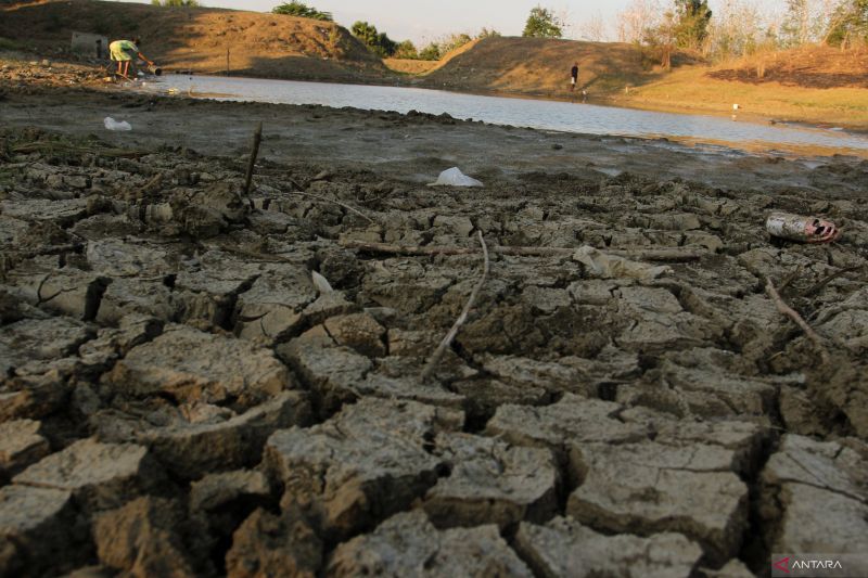 Dampak kemarau di daerah perbatasan