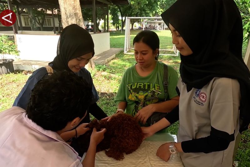 Hari Rabies Sedunia, ratusan hewan di Kota Bogor divaksinasi gratis