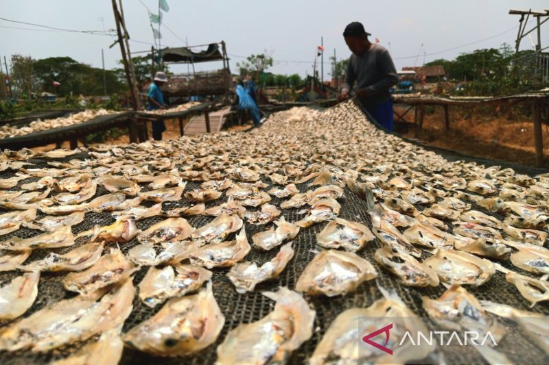 Pemkot Cirebon catat produksi perikanan tangkap capai 4.292 ton 