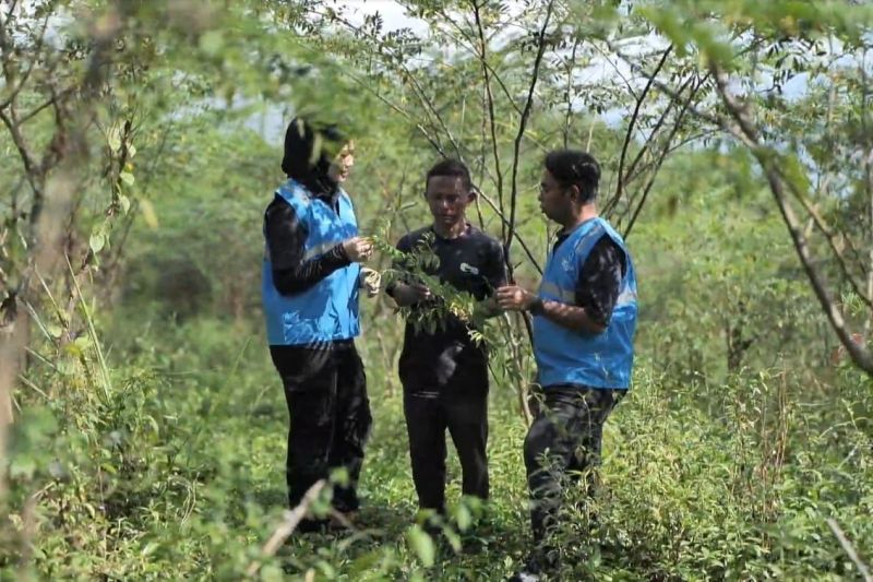 pln-pengembangan-biomassa-berdayakan-warga-dan-didukung-pemerintah