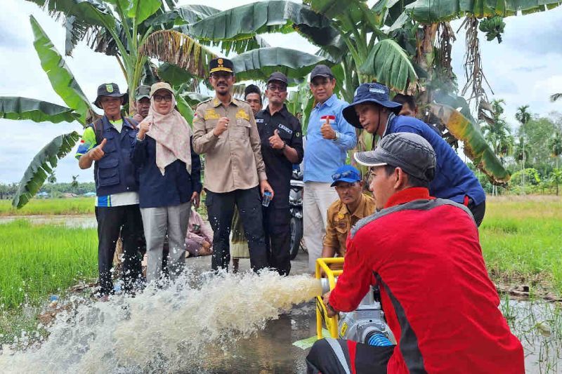 Kementan: 1.003 pompa tersalurkan di Riau untuk perluasan areal tanam 