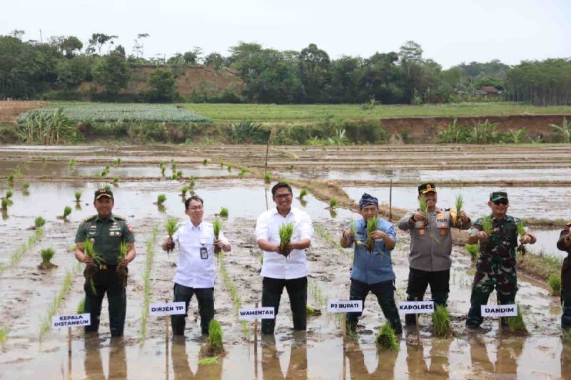 Wamentan pastikan ketersediaan pupuk guna kejar masa tanam di Oktober