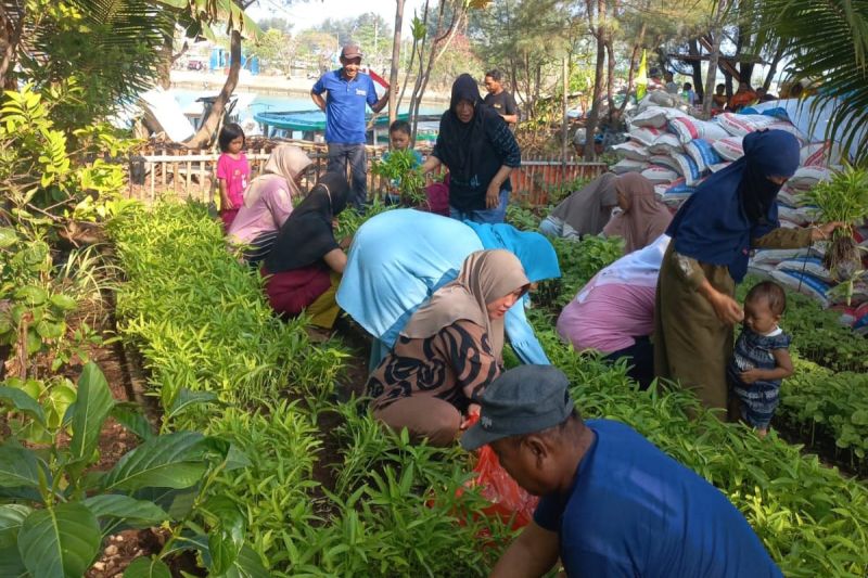 Pemkab ajak warga kembangkan pertanian di Kepulauan Seribu