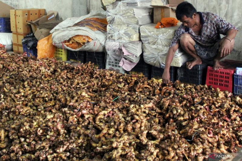7-manfaat-rebusan-lengkuas-untuk-kesehatan-tubuh-yang-perlu-diketahui