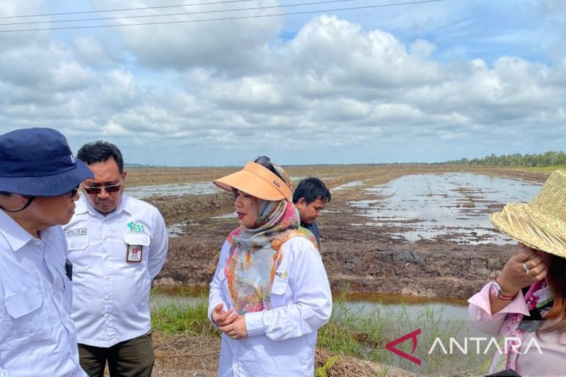 kementan-dampingi-petani-millenial-kembangkan-pertanian-modern