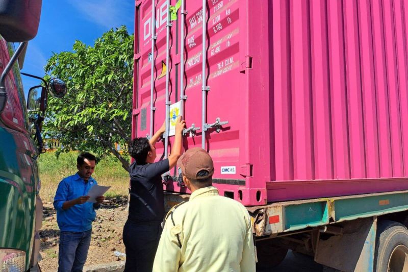 Bea Cukai Parepare Lepas Ekspor 137,5 Ton Tepung Rumput Laut ke Tiongkok