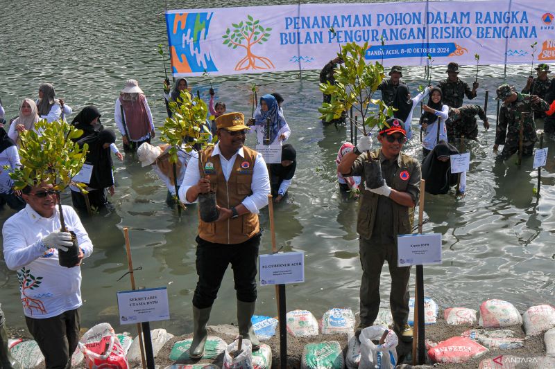 bnpb-tanam-6000-batang-mangrove-di-aceh-upaya-jaga-ekosistem-pesisir