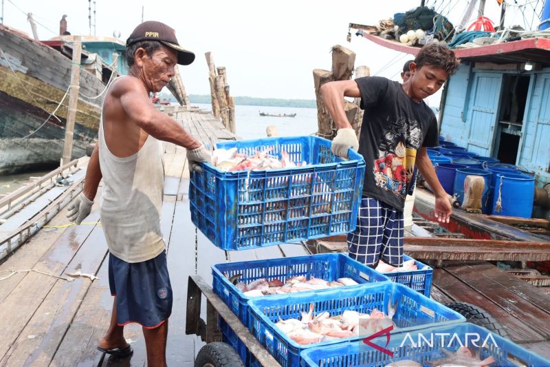 kkp-buka-30-lokasi-tingkatkan-pelayanan-perizinan-di-tempat