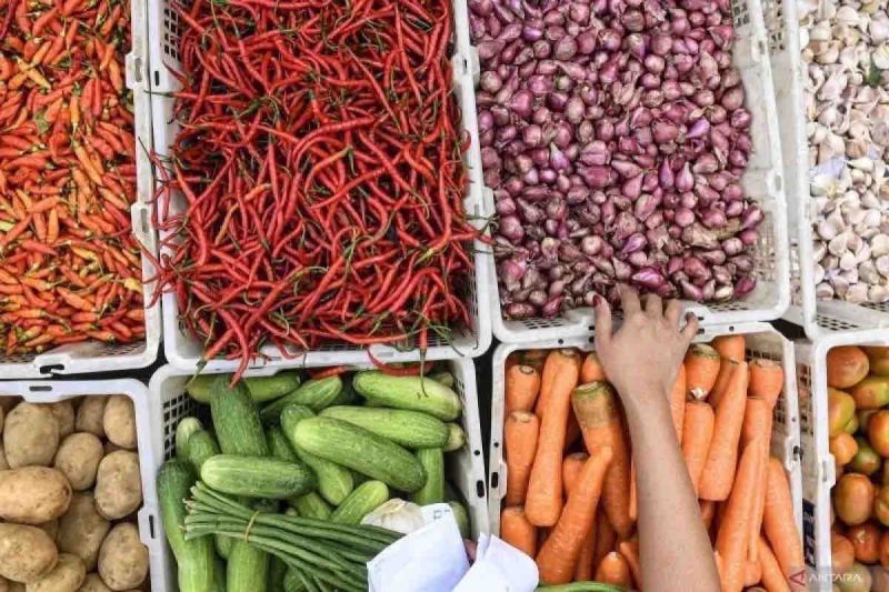 harga-pangan-di-jumat-mayoritas-turun-bawang-merah-rp28720-per-kg