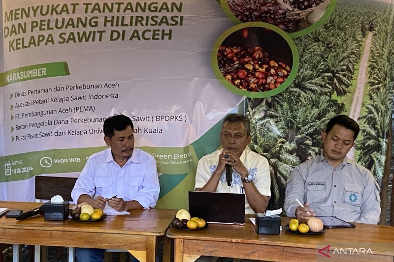 distanbun-ajak-petani-sawit-aceh-percepat-sertifikasi-ispo