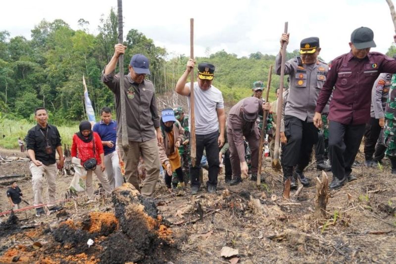 gubernur-kalteng-pimpin-penanaman-perdana-padi-gogo-di-laung-tuhup