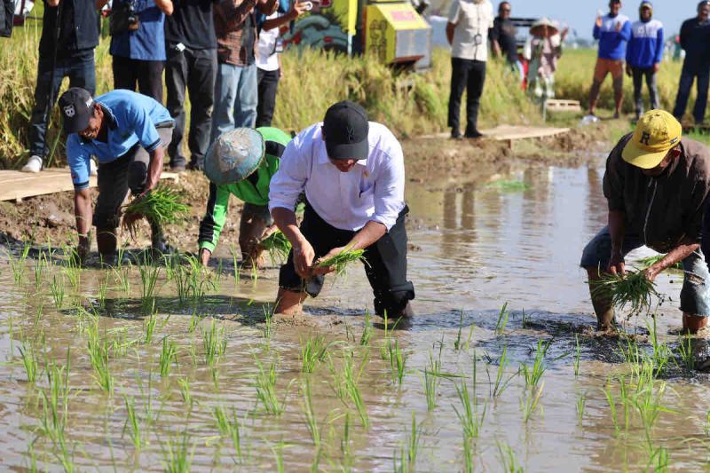 Mentan siapkan Gowa mengawali capaian swasembada beras