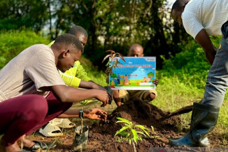 Pertamina bantu bibit pohon buah atasi krisis pangan Uganda