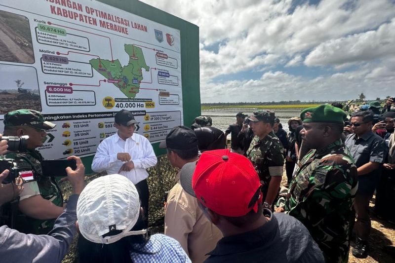 Wamenhan turut tinjau lahan pengembangan Food Estate di Merauke