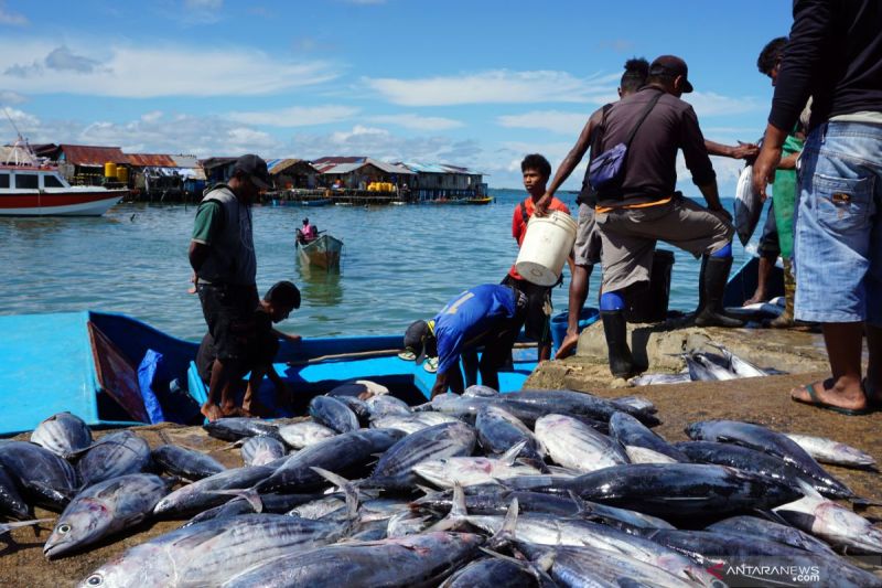 BRIN dorong masyarakat pesisir jadi aktor utama dalam ekonomi biru