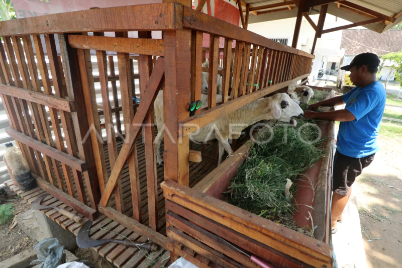 Edukasi pertanian dan peternakan di Lapas Kediri