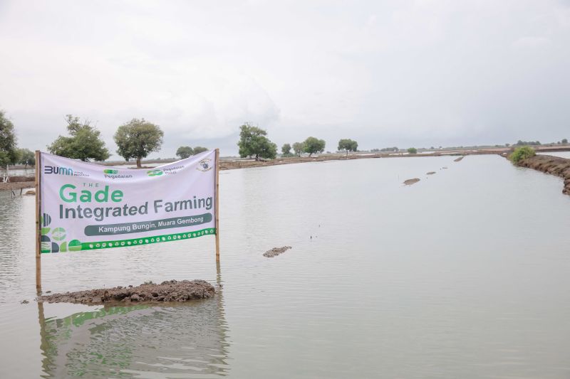 Kampung Bahari Nusantara, motor penggerak pemberdayaan Muara Gembong Bekasi