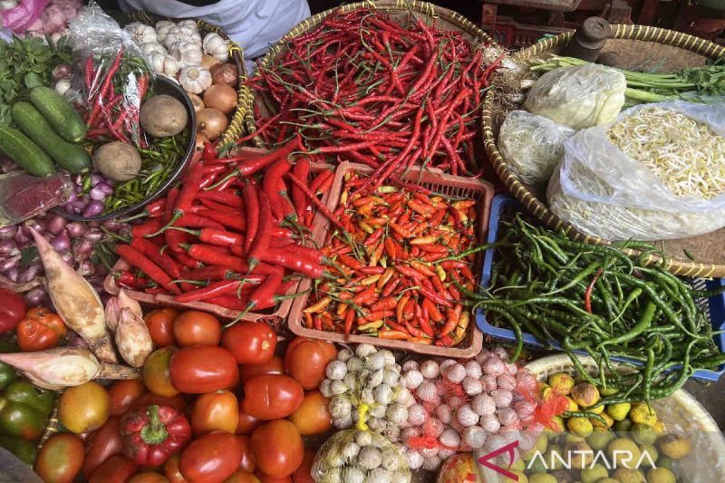 harga-pangan-18-oktober-mayoritas-turun-cabai-rawit-rp44900-per-kg