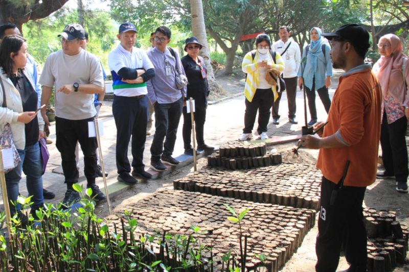 Kepulauan Seribu tanam mangrove untuk kurangi pemanasan global