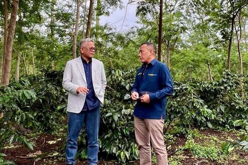 ptpn-iv-palmco-sebut-produksi-java-coffee-sudah-tembus-pasar-global