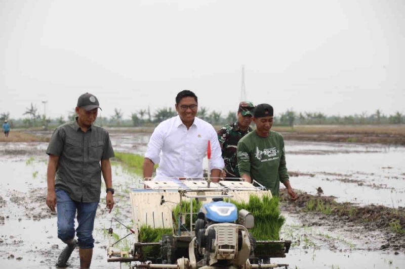 wamentan-siap-perkuat-visi-prabowo-wujudkan-swasembada-pangan