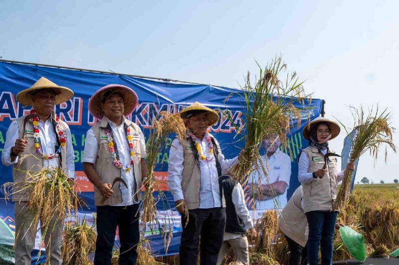 pupuk-indonesia-terapkan-teknologi-presisi-budidaya-padi-di-subang