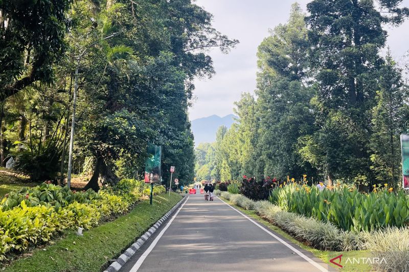 Sejarah di balik julukan Bogor sebagai "Kota Hujan"