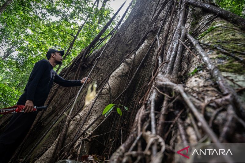 kalsel-gaet-puluhan-pemuda-membentuk-meratus-geopark-youth-forum