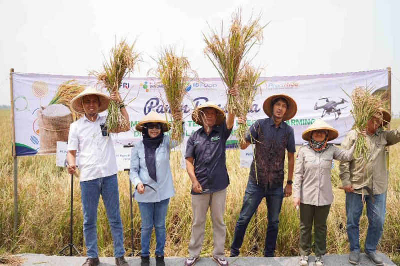 Pupuk Indonesia: Hasil pertanian meningkat dengan teknologi "PreciX"