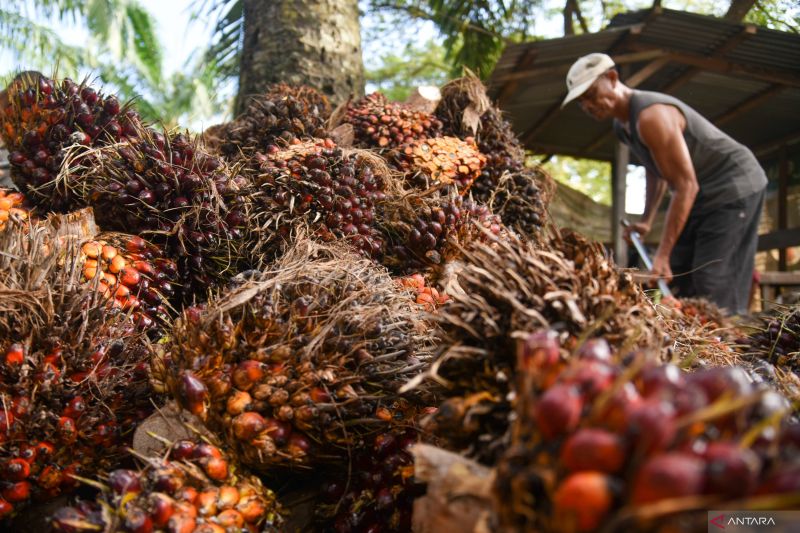 Wamen ESDM sebut Indonesia kurang 2 juta ton metanol untuk B50 di 2026 