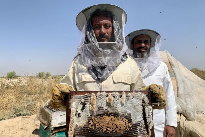 afghanistan-produksi-2200-ton-madu-setiap-tahun