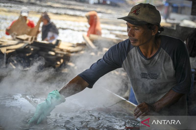 Kurangnya pasokan bahan baku menyebabkan produksi ikan asin menurun