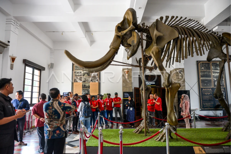 Kunjungan delegasi Afrika ke Museum Geologi