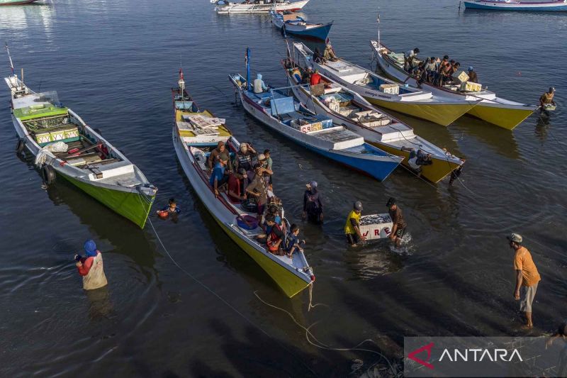 Melalui sistem SJMKHP, KKP perluas jaringan pasar perikanan Indonesia hingga ke Eropa